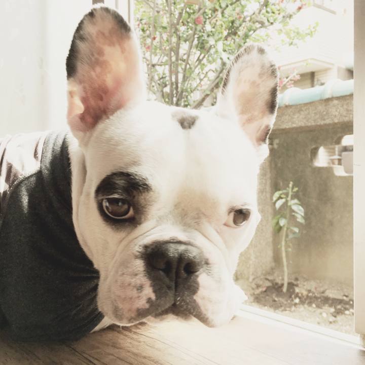 Ed1765fc c59b 4d4c b55b a7bab8c0862c