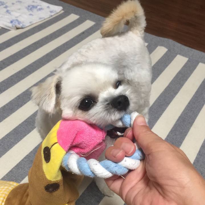 Ed179745 345b 498e a0af d575d1129ebf