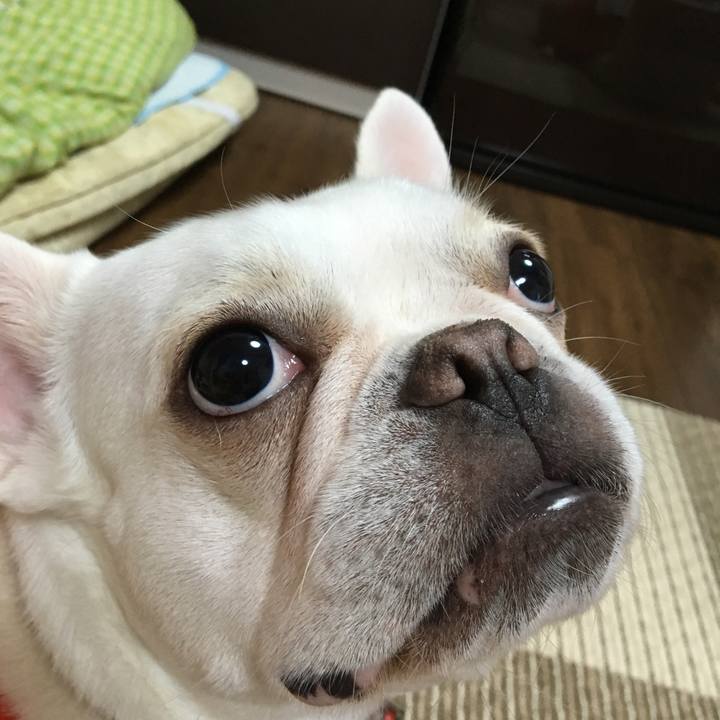 Ed17adbf 059a 46c4 b02c 09237bec55d1