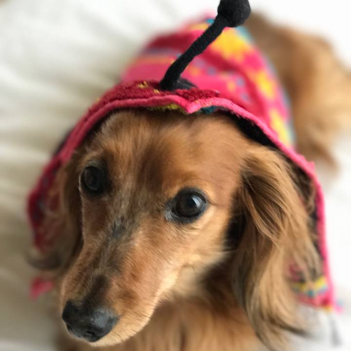 Ed17df61 de60 4995 8543 977f806ed5fd