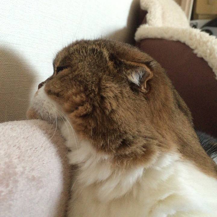 Ed183b59 e19a 407a acf9 c735f320fc9f