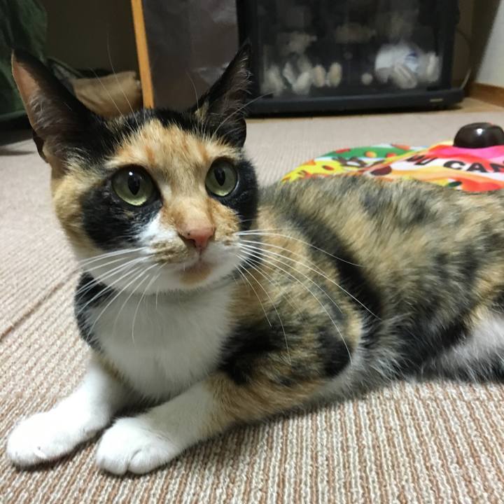 Ed18572c d5f5 43a3 9464 6fc93c807d55