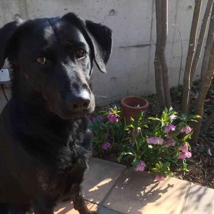 Ed188360 e3d3 4cf1 8111 a935071a646e