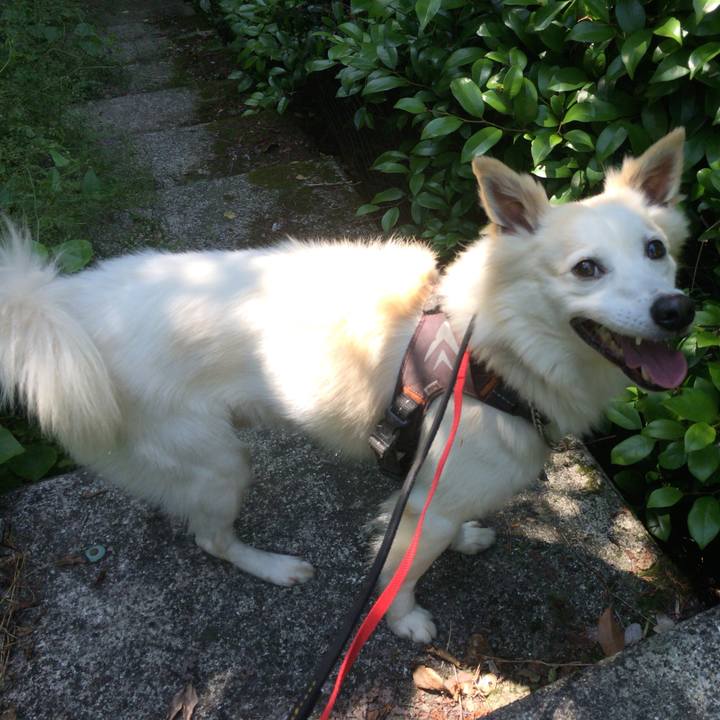 Ed19b241 6209 46f3 b7b2 8eda96f9f070