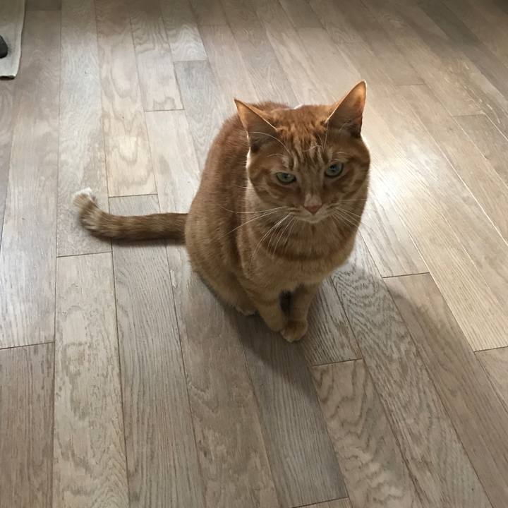 Ed1a3712 29cb 4834 9a49 5cbc747df21d