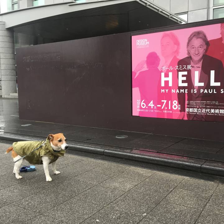 Ed1ac5a4 6d08 4f88 8573 cc41b8489bd5