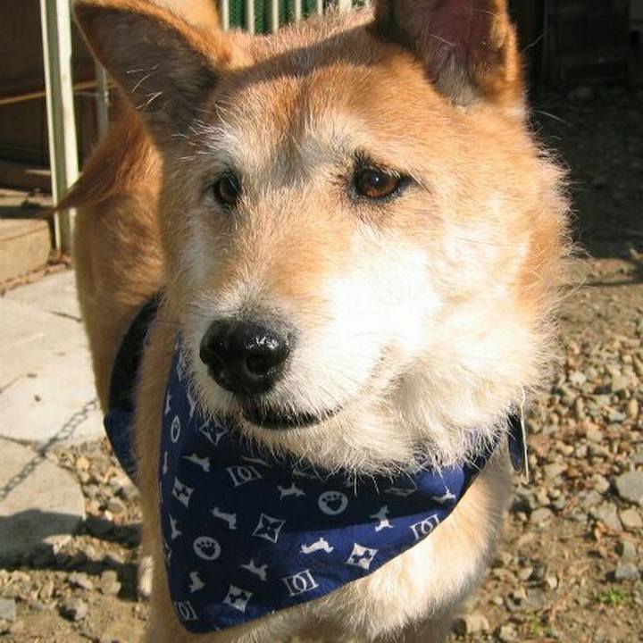 Ed1b07c0 3389 4e9d 8bb0 6df3ed05a6a6