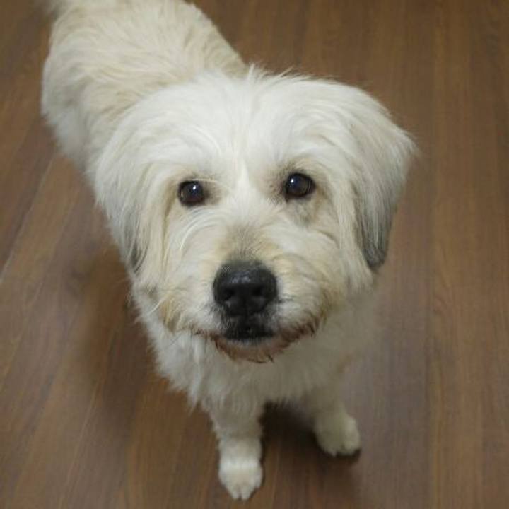 Ed1b652b f5fa 4849 ade8 577d56904b68