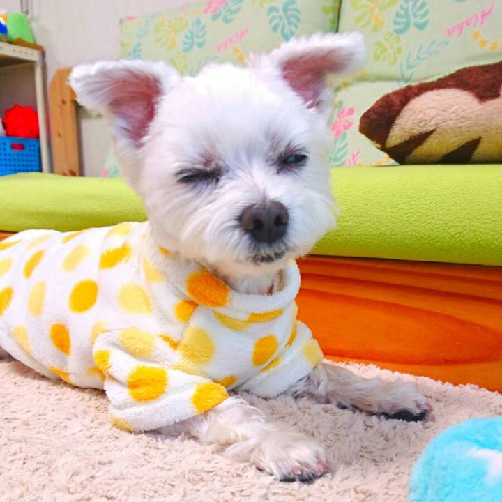 Ed1b7ac5 f0fb 418c a6b4 f16526685420