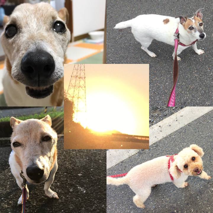 Ed1cac40 fc71 4240 9700 6ef4067fe1f6