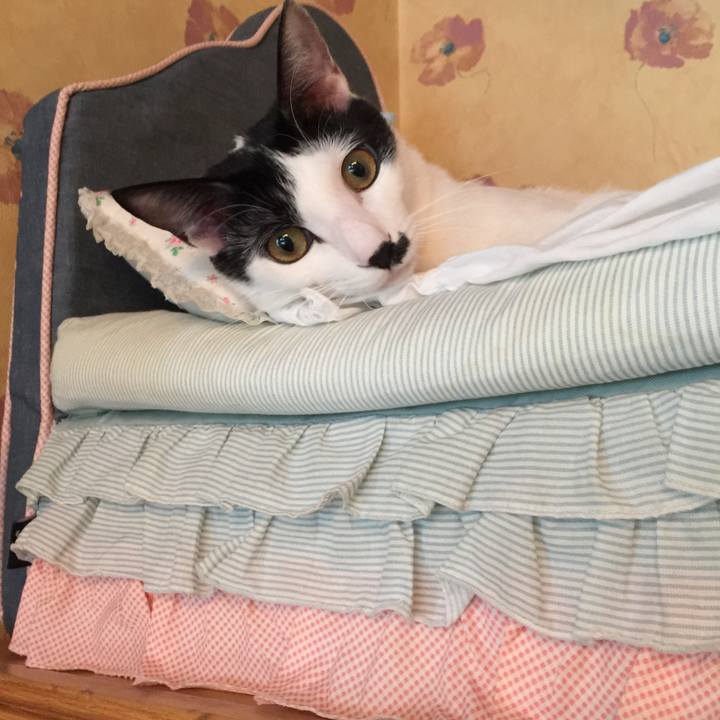 Ed1d13d2 a8c9 4c18 a7e3 7df1467be4d3