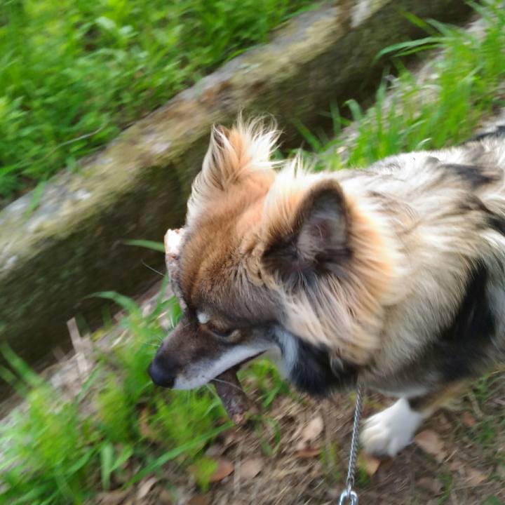 Ed1d1a8e 8406 4dd0 bc31 be55da0229af