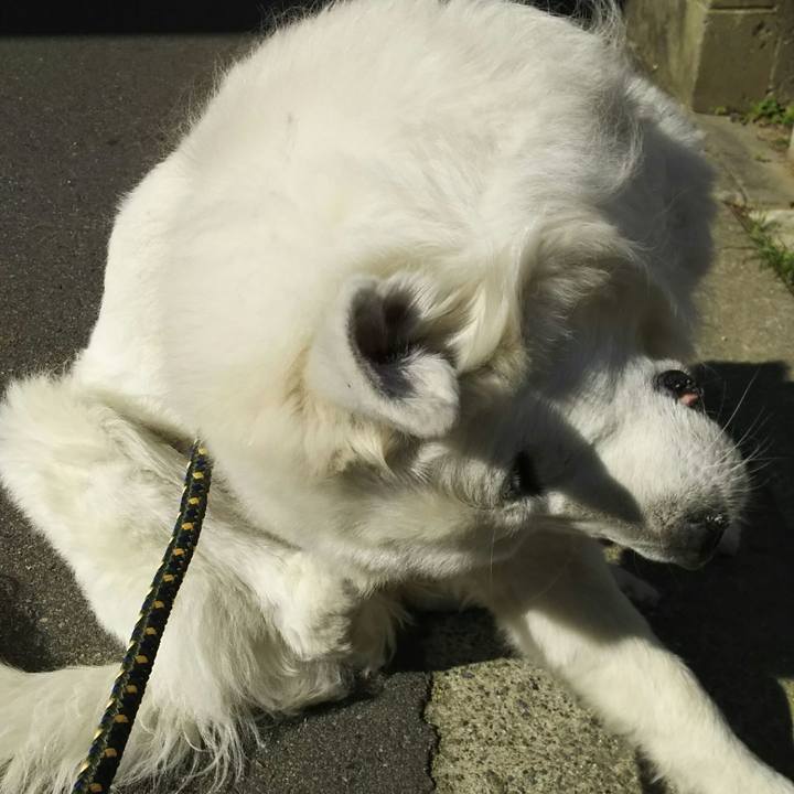 Ed1d1f54 cccc 4878 9174 b36b820d8549