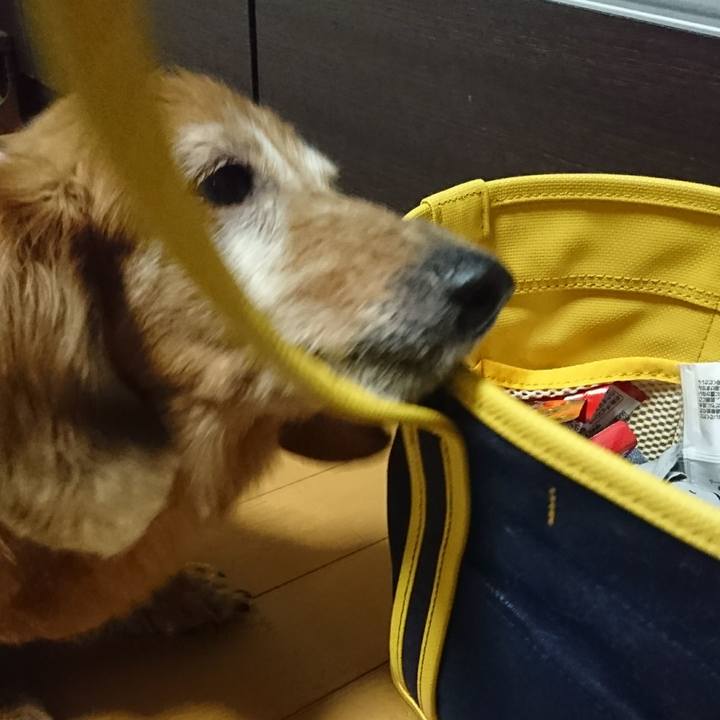 Ed1d3b28 7132 486c afcf 46233b33308d