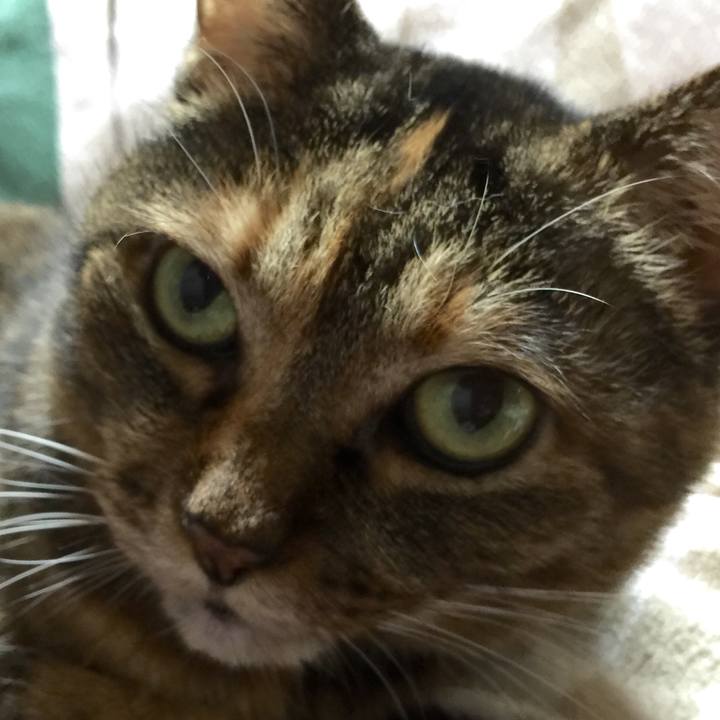 Ed1d40e4 47a3 4a0e 8734 531fd3f0da21