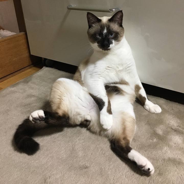 Ed1d6e22 b602 4f03 ae14 aac0c5e990ed