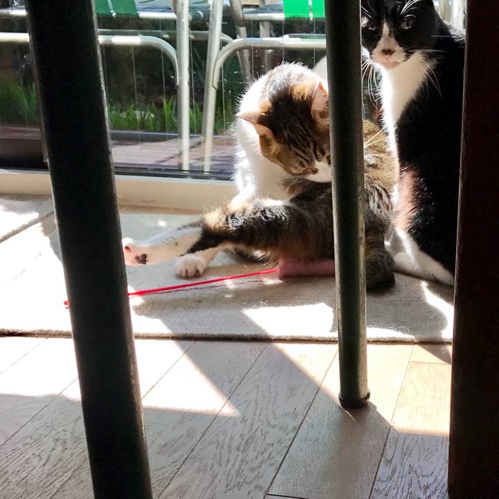 Ed1da0fc f8f3 4d27 9415 eec4fb922cef