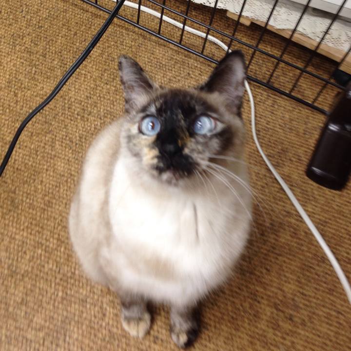 Ed1e6b91 0647 477b ad84 e8f83cb146a4