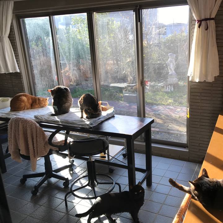 Ed1ec933 7779 457b 8f7f 7d2226dc9fdc