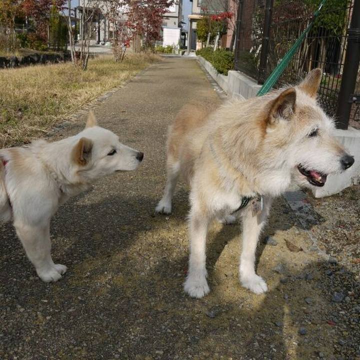 Ed1f061d f0f5 4130 b21f fa319535ed05