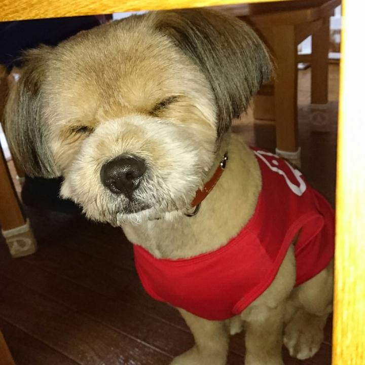 Ed1f4ffe 77aa 479c b8ee 6053b5920717