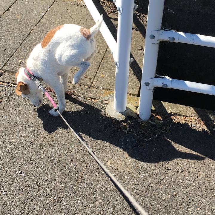 Ed1fa8c3 2fe5 4b9e ad0f 751c302a84f4