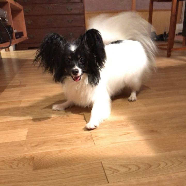 Ed1fe562 f16c 41e5 a102 5eeafcd2c387