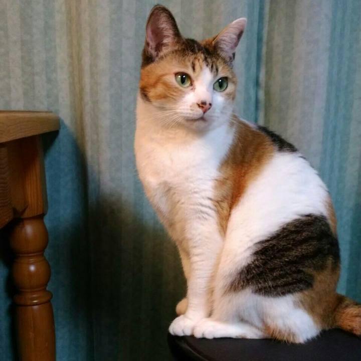 Ed204d9a 44c7 49a2 942b 4eb106dd3cfe