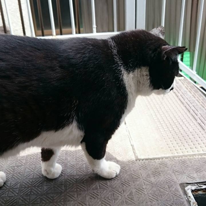 Ed206c4e 646f 42c9 9ef9 8074859b8416