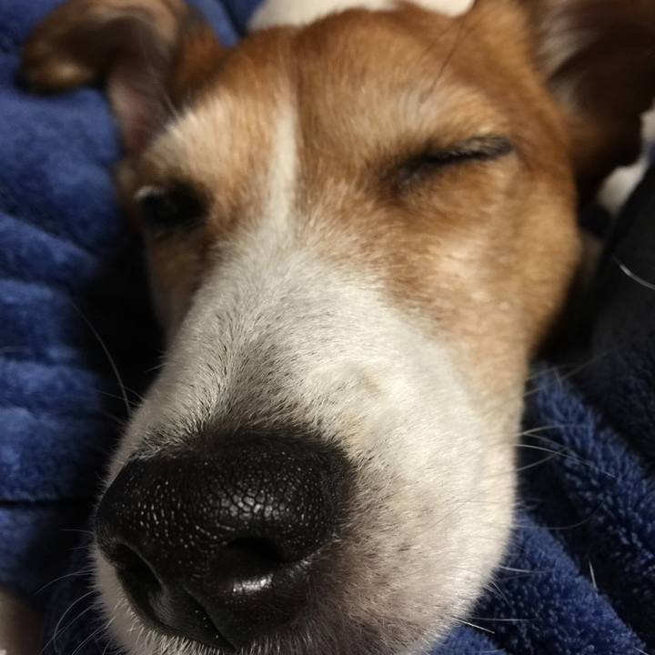 Ed207062 6fa7 497e 89a9 ede599c4cc2f