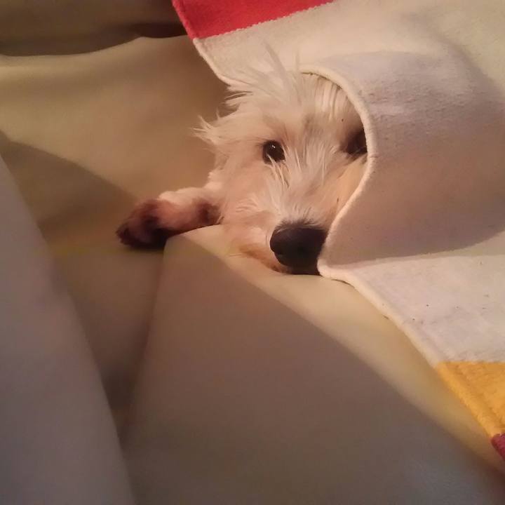 Ed21242c a3ff 4fd5 83d2 74856a5a3861