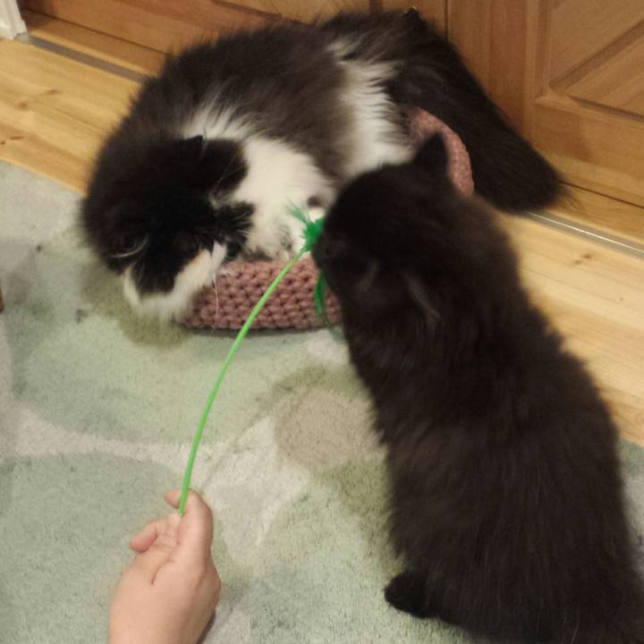 Ed2143bd d4c2 472d a575 e4205b7e5d7f