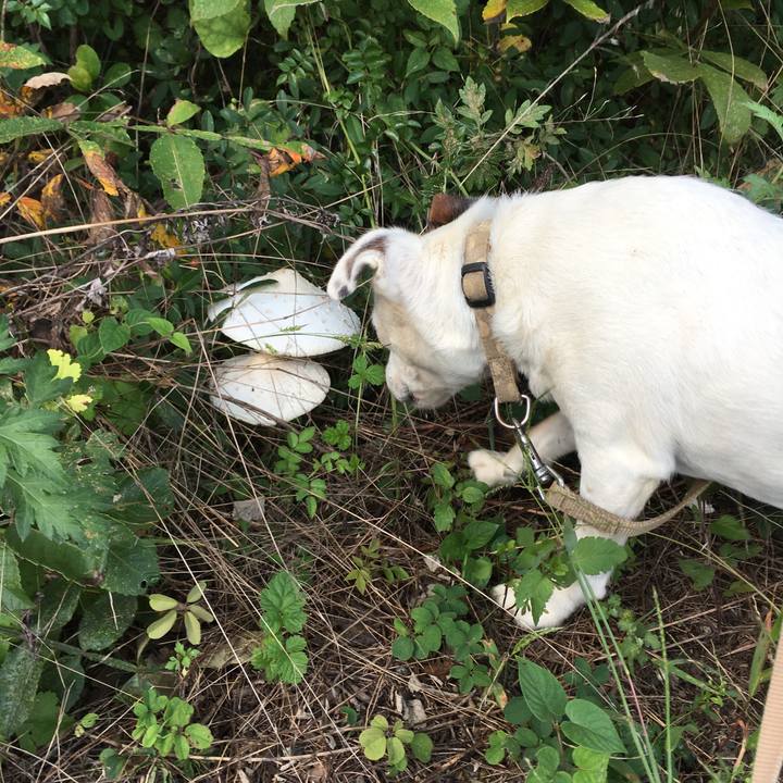 Ed21589b 6664 4fd2 9e06 937169669b34