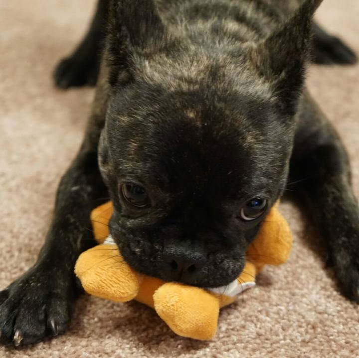 Ed21a55d ace5 45b5 9dd4 e89cf3e7823f