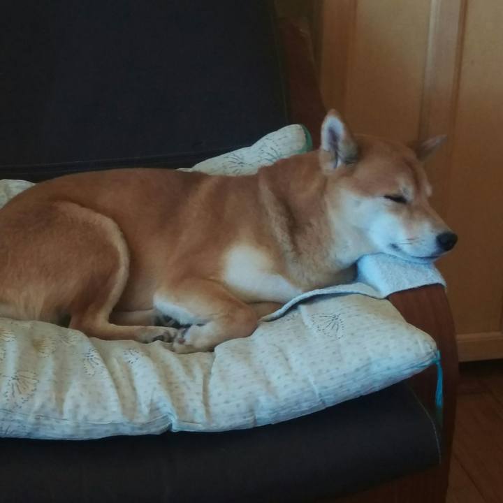 Ed2230ed 3955 4e49 bb20 1b27ad820d0e