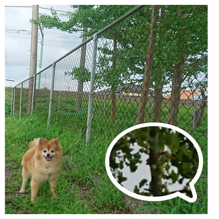 Ed22ba48 2ac0 4d04 9b1e 7ebb4215e0af