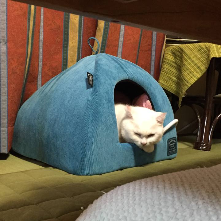 Ed2332ca 04ff 4e64 a277 12f5dc22932d