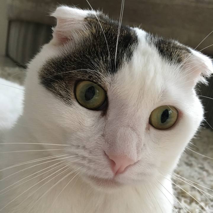 Ed238974 fa5b 4300 98a1 cb360e740e4a