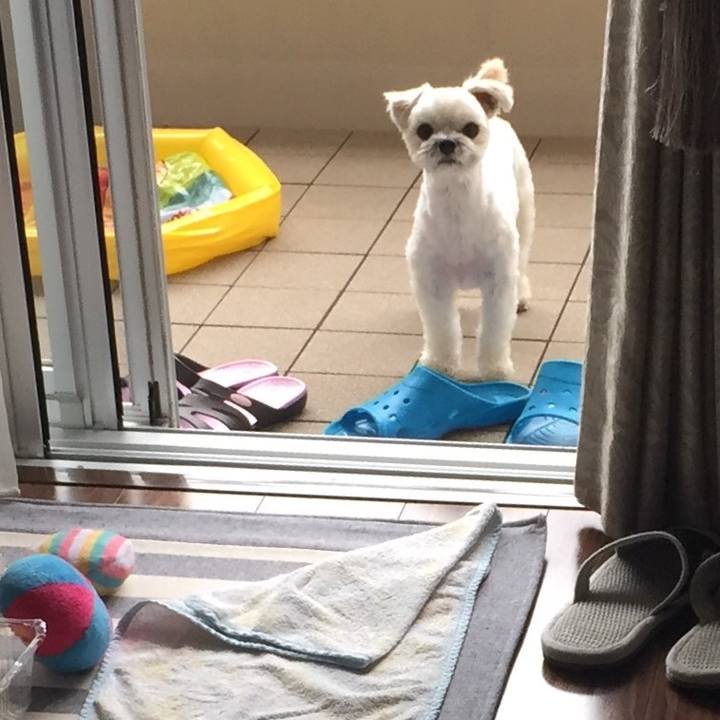 Ed23d715 c91b 4a0e ad47 a27f5df59dce