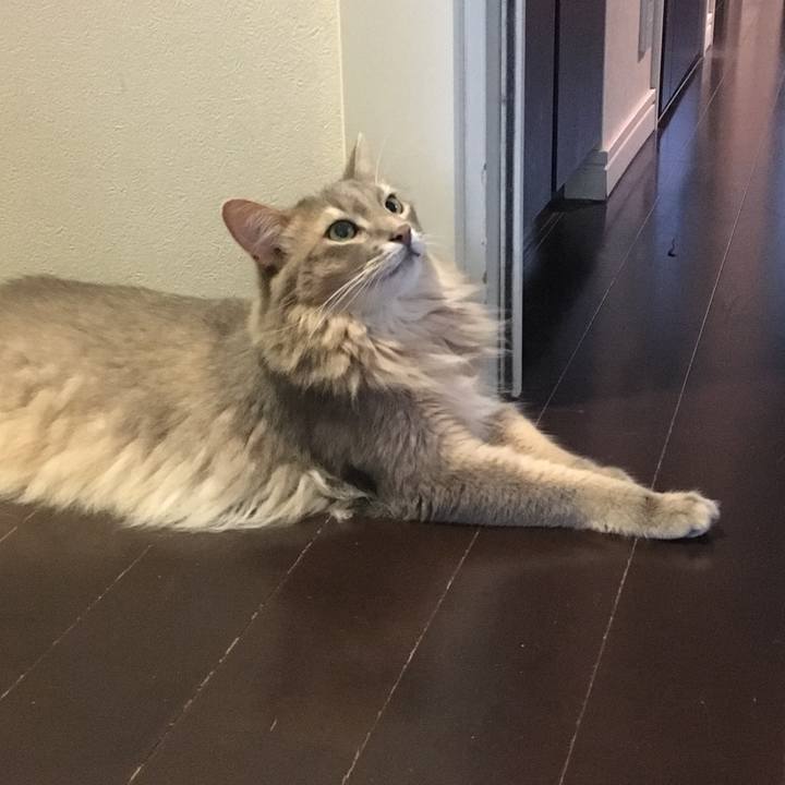 Ed241a03 b794 4e0f 9837 c5d3298ce324