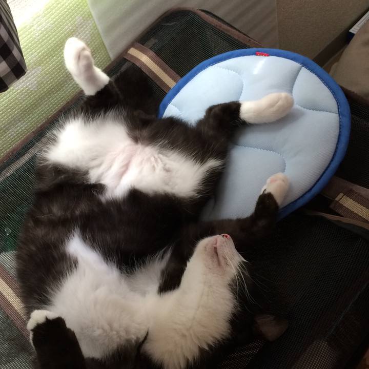 Ed24be2a 6bee 4268 ac51 e7b10cfea8e5