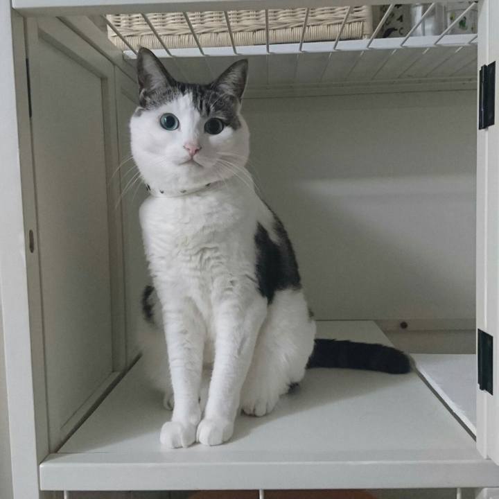 Ed258daa ab17 478f a32d e3e933652300