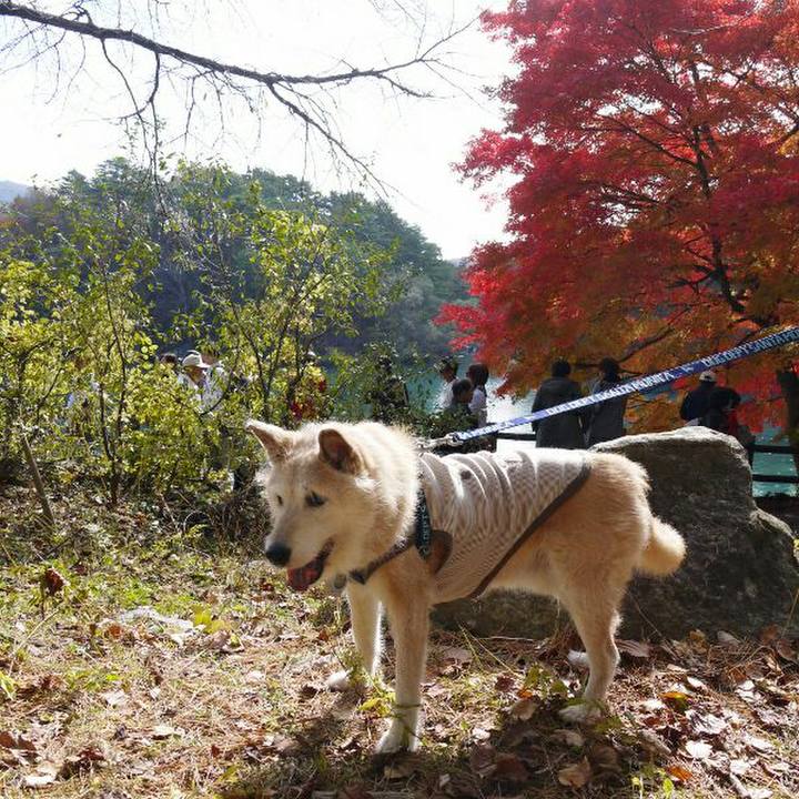 Ed2593dd 7076 463f 8525 4e621d38c03f