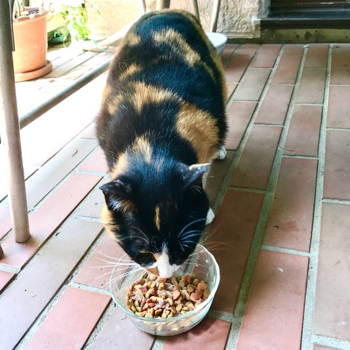 Ed25c7a0 44ee 44df bbff 3c0aa3525d6d