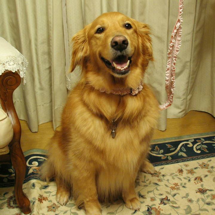 Ed26eb76 5f60 4b43 8fb3 c40965749411