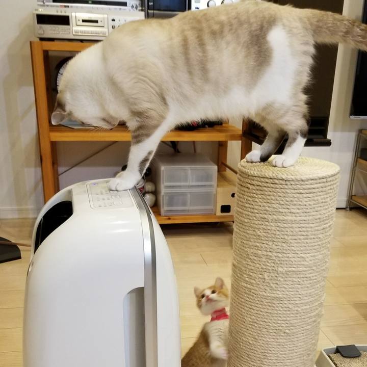 Ed26f66c 33a3 40d5 a529 7f36605d2d3e