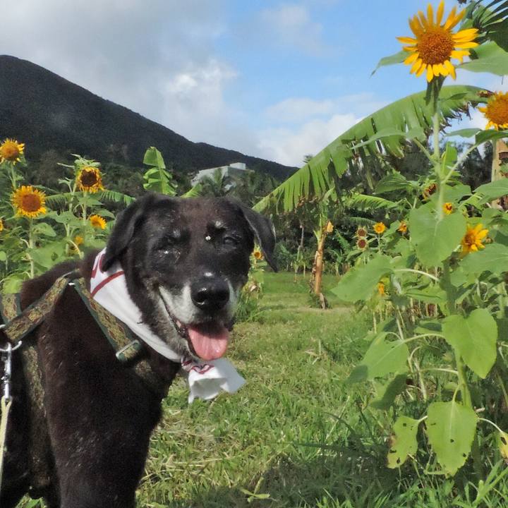 Ed26fcf0 2046 47f6 b5de a36dd5aaa6bb