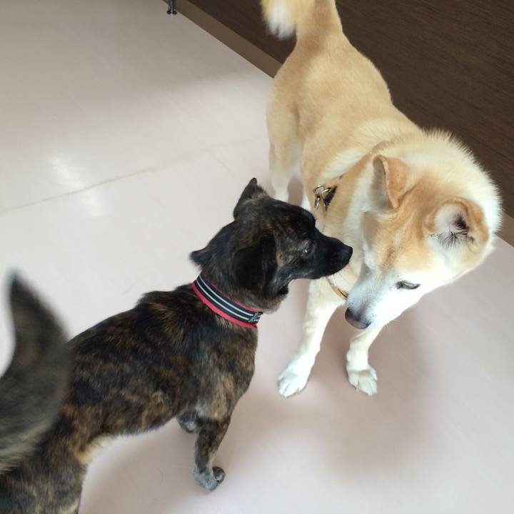 Ed27027f bc32 49a2 bd3c 82767cedb2eb