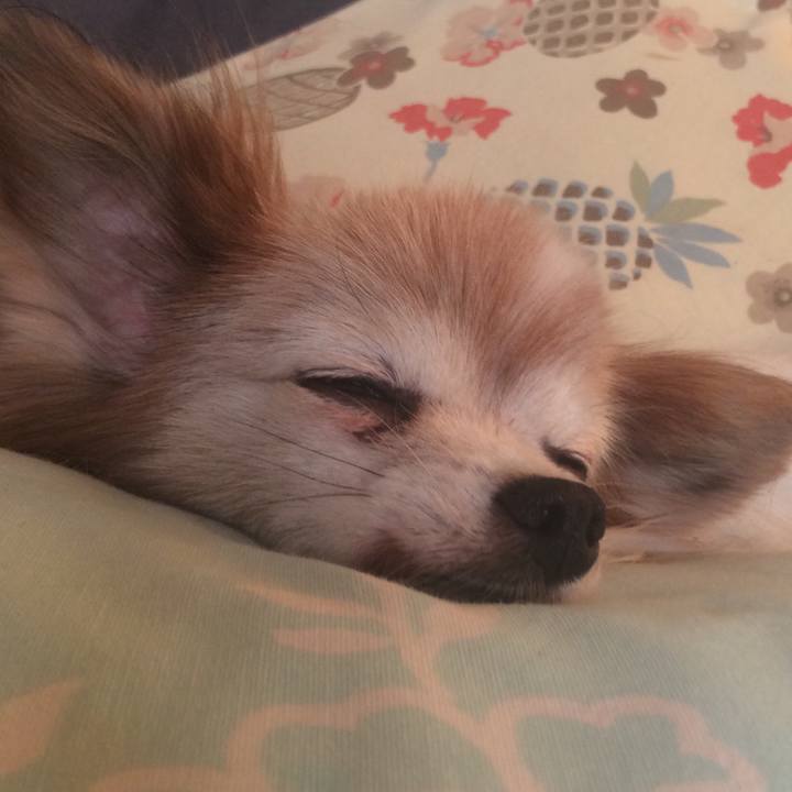 Ed27a0d0 23d0 4e37 b21d 6d9c23b8b654