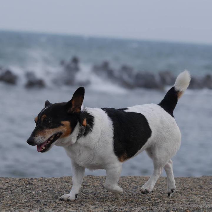 Ed2808c6 06e3 41d5 b14c 4981bfa1311e